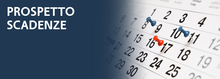 4 women around a desk with computer with winning gestures